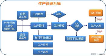 从零到一 非编码专业人士如何构建高效企业管理软件