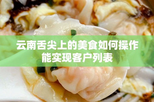云南舌尖上的美食如何操作能实现客户列表