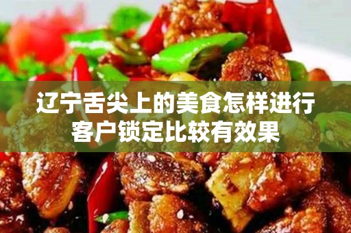 辽宁舌尖上的美食怎样进行客户锁定比较有效果