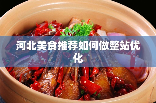 河北美食推荐如何做整站优化