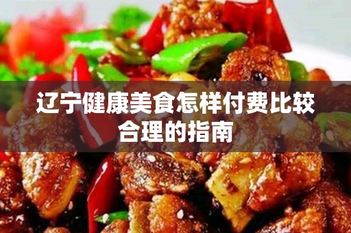 辽宁健康美食怎样付费比较合理的指南