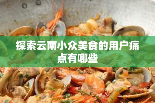 探索云南小众美食的用户痛点有哪些