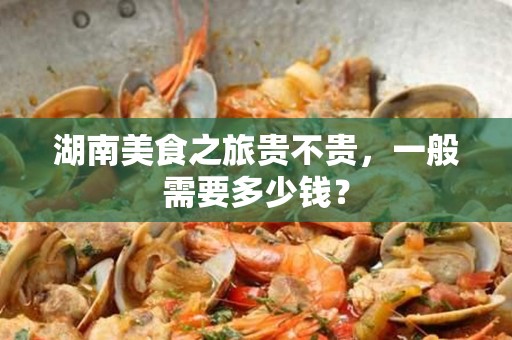 湖南美食之旅贵不贵，一般需要多少钱？