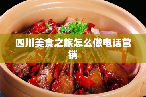 四川美食之旅怎么做电话营销