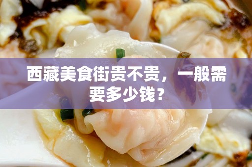 西藏美食街贵不贵，一般需要多少钱？
