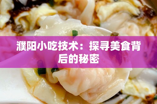 濮阳小吃技术：探寻美食背后的秘密