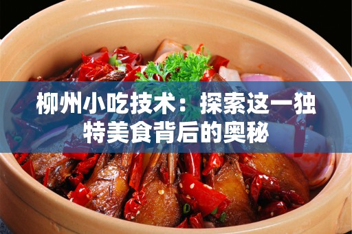 柳州小吃技术：探索这一独特美食背后的奥秘
