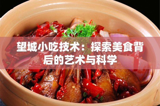 望城小吃技术：探索美食背后的艺术与科学