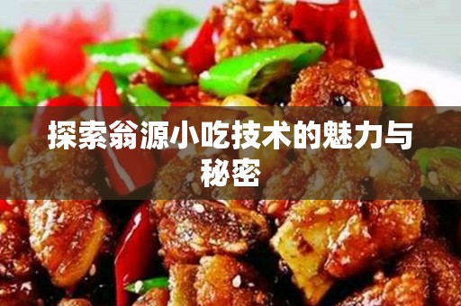 探索翁源小吃技术的魅力与秘密