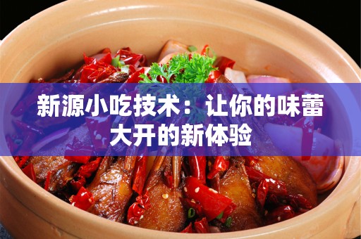 新源小吃技术：让你的味蕾大开的新体验
