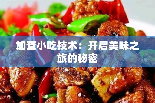 加查小吃技术：开启美味之旅的秘密