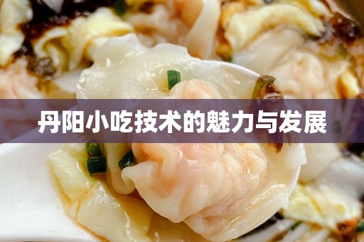 丹阳小吃技术的魅力与发展
