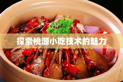 探索桃源小吃技术的魅力