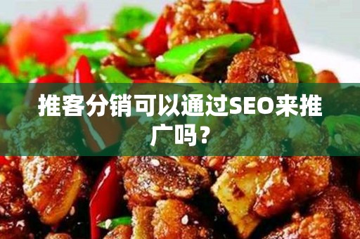 推客分销可以通过SEO来推广吗？