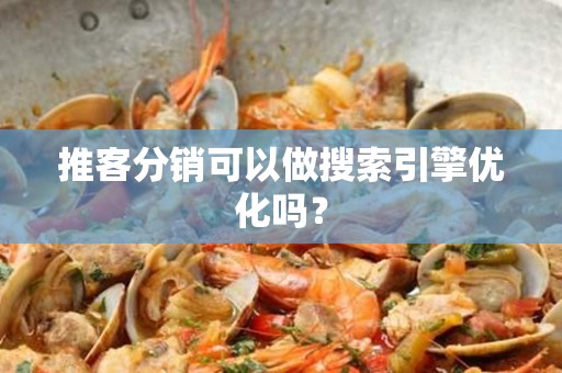 推客分销可以做搜索引擎优化吗？