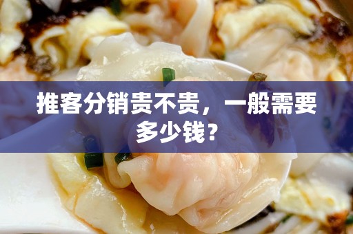 推客分销贵不贵，一般需要多少钱？