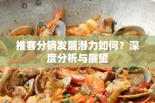 推客分销发展潜力如何？深度分析与展望