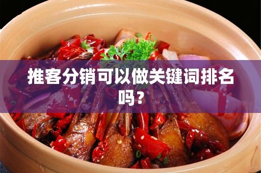 推客分销可以做关键词排名吗？