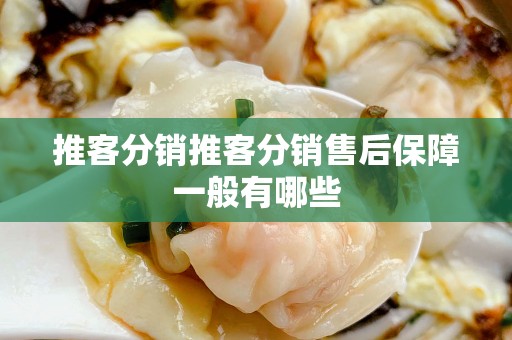 推客分销推客分销售后保障一般有哪些