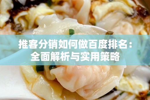 推客分销如何做百度排名：全面解析与实用策略