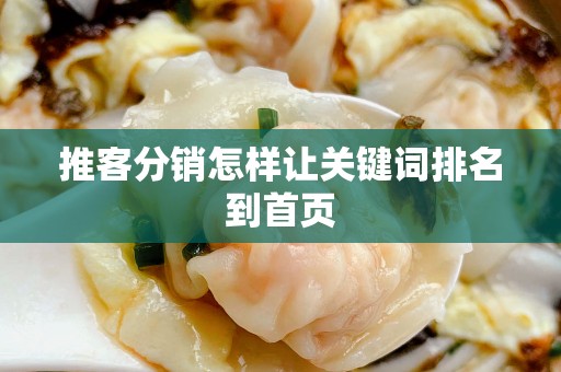 推客分销怎样让关键词排名到首页
