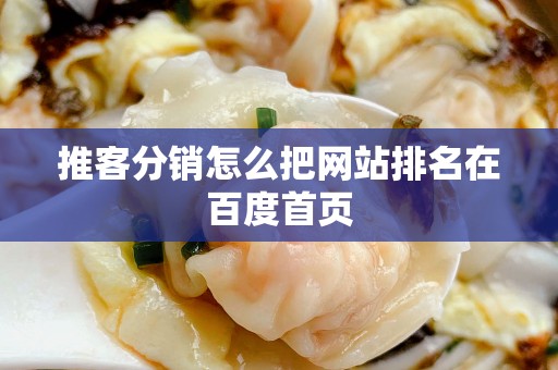 推客分销怎么把网站排名在百度首页