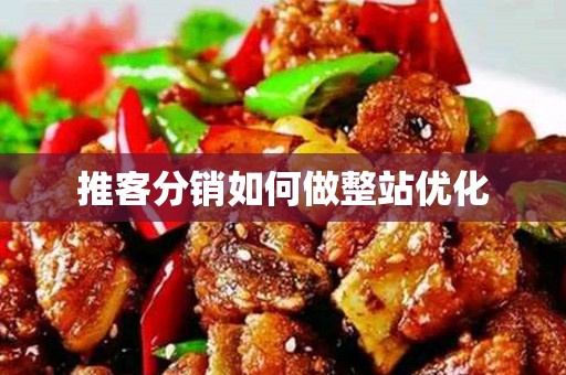 推客分销如何做整站优化