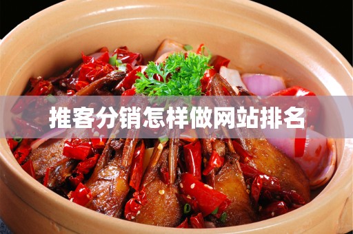 推客分销怎样做网站排名