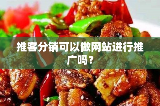推客分销可以做网站进行推广吗？