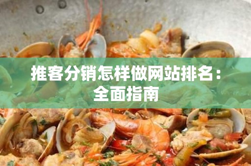 推客分销怎样做网站排名：全面指南